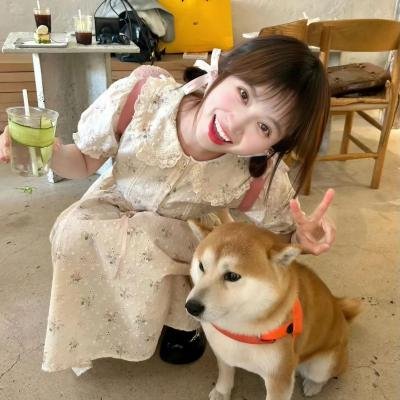 小布塞
