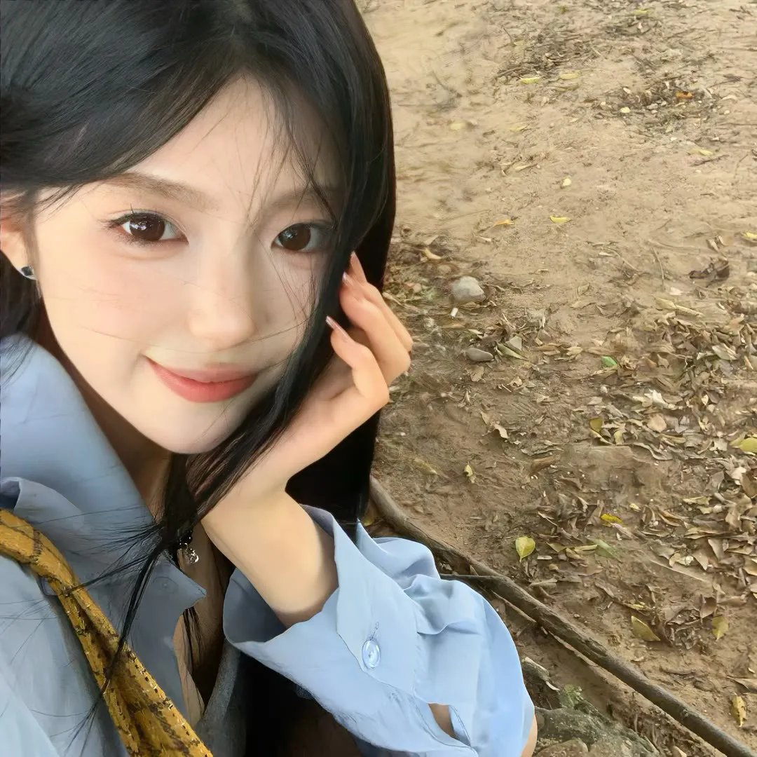 幼狮王朝